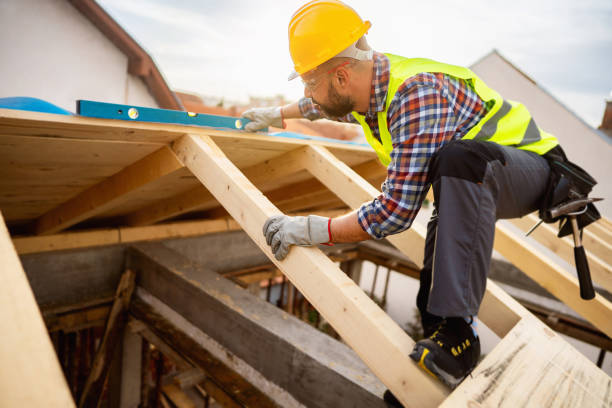 Best Metal Roofing Contractor  in Ralston, NE